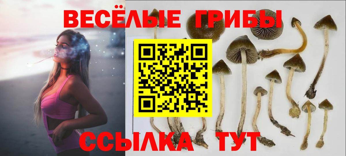 Галлюциногенные грибы Magic Shrooms Избербаш